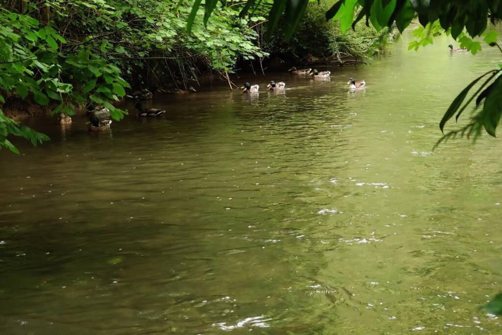 Uw Eigen Boerderij Bij Le Moulin De La Place Hargicourt Dış mekan fotoğraf